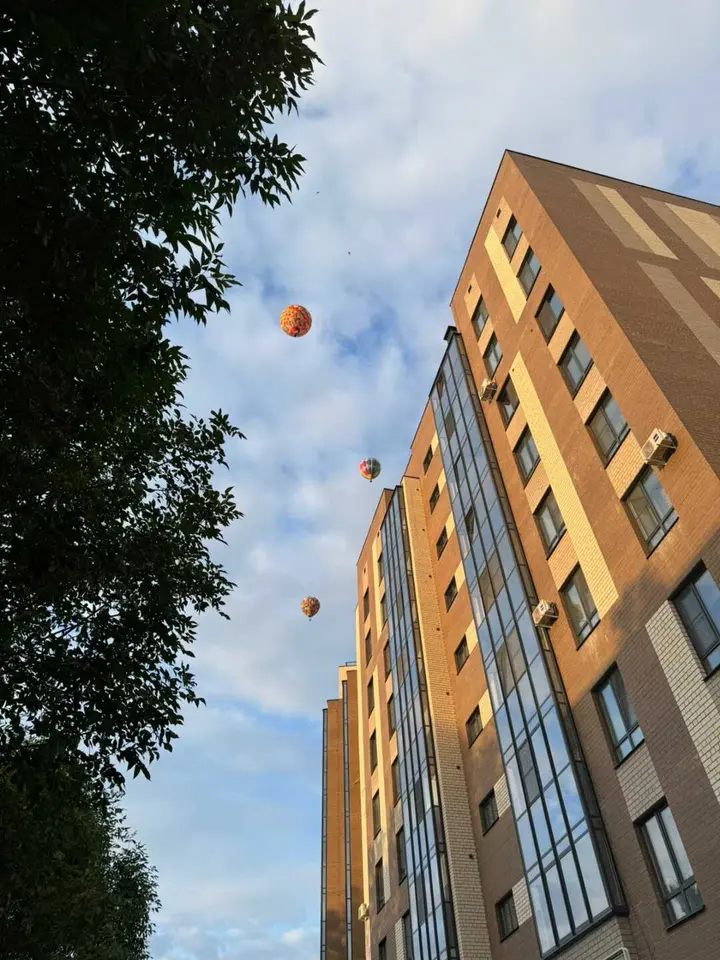 Кострома: Апартаменты "Elizium Home"