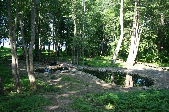 Луга: Усадьба Мерево