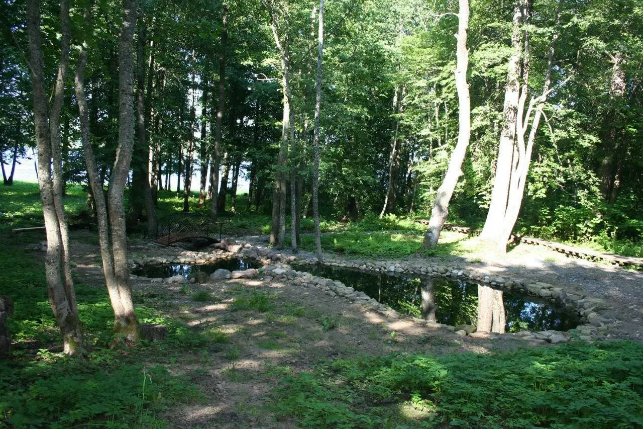 Луга: Усадьба Мерево
