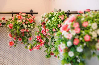 Екатеринбург: Апартаменты GreenHouse