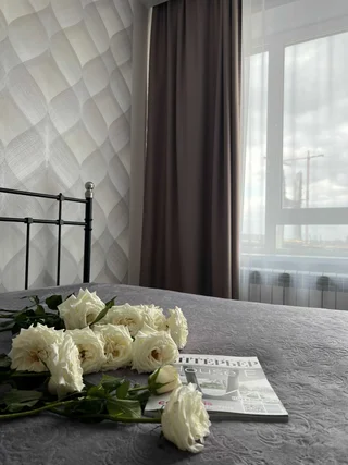 Новосибирск: Апартаменты на Набережной 401