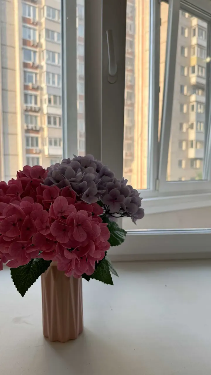Хабаровск: "Как дома и даже лучше" на Большой улице 9
