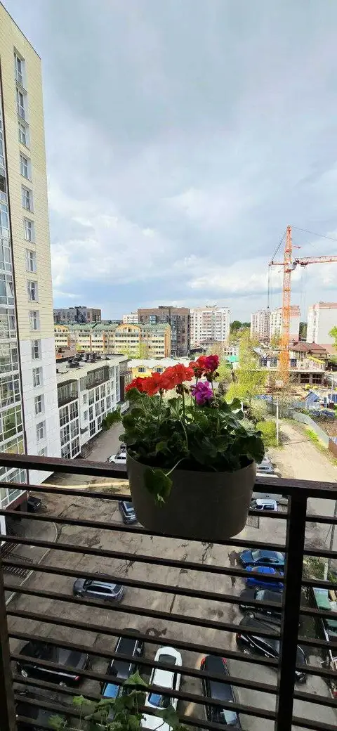 carousel image 5