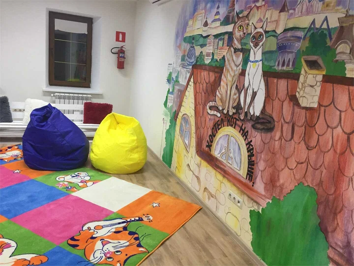 Казань: Кот на крыше
