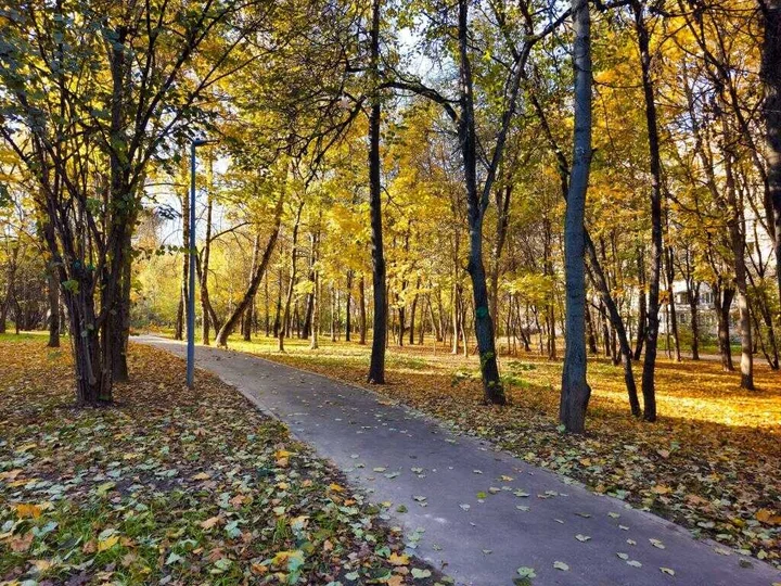 Москва: Профсоюзная 146