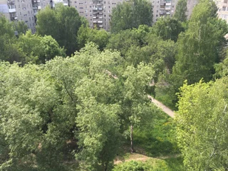 Нижний Новгород: Фруктовая Квартира Рядом с Центром