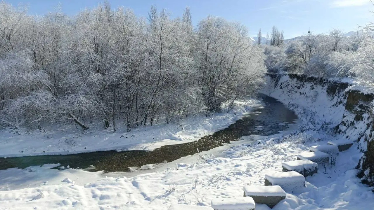 Владикавказ: Avalon Park
