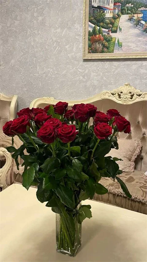 Краснодар: Отель "Уют Ripsime"