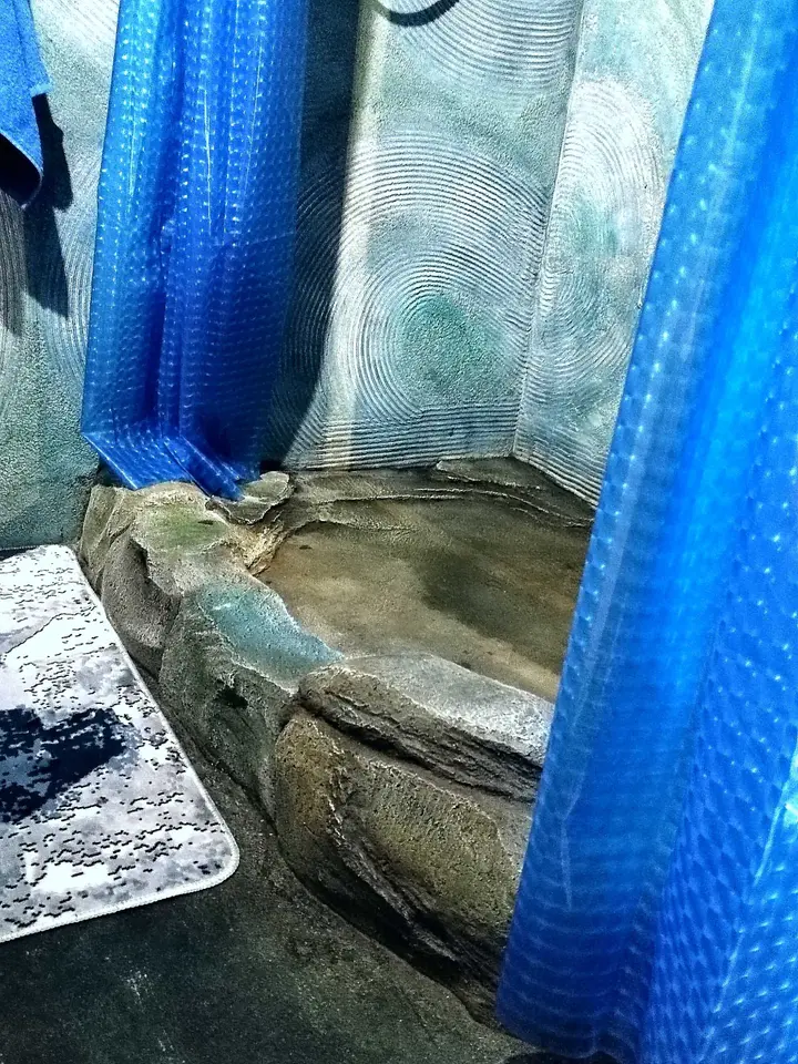 Манжерок: Дом в сосновом лесу