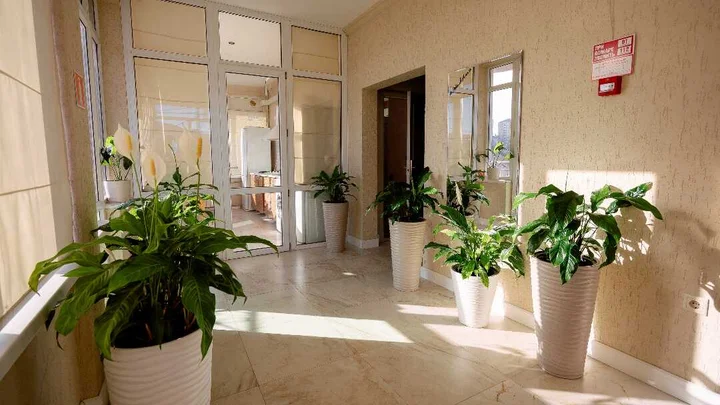 Туапсе: AMIGO Tuapse