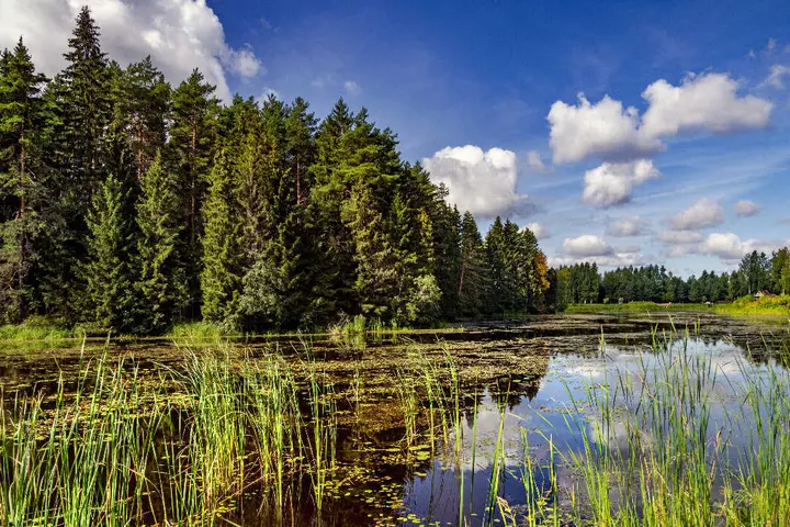 Калязин: Эко-отель Панорама