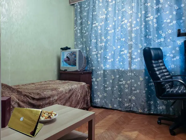 Нижний Новгород: Гостевой дом «Homestay Uley»
