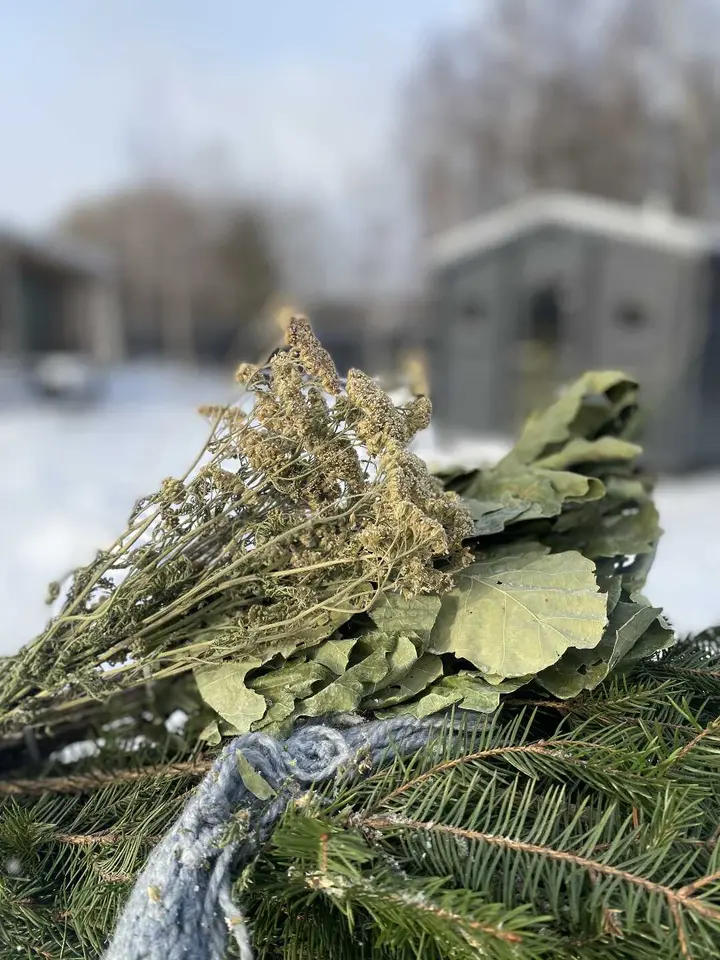 Домодедово: Dacha.Les атмосферный домик около леса