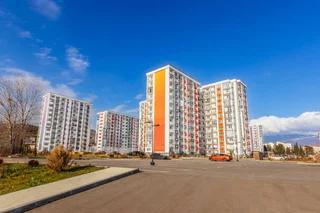 Сириус: ЖК Фрукты Виноград 1022