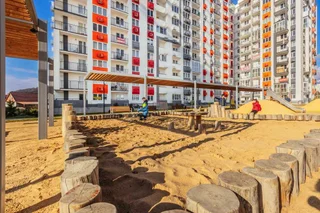 Сириус: ЖК Фрукты Черника 8163