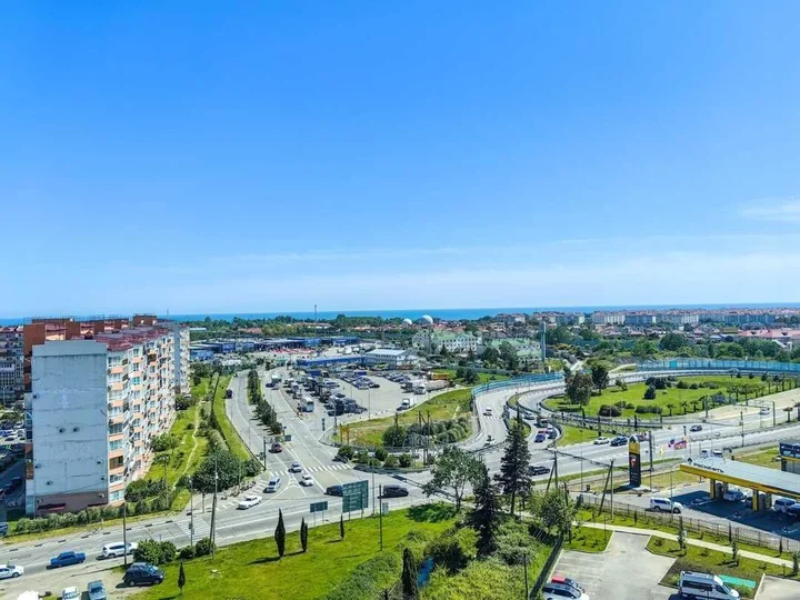Сириус: ЖК Фрукты Слива 5082