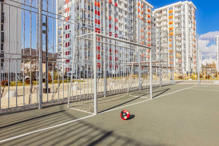 Сириус: ЖК Фрукты Слива 5209