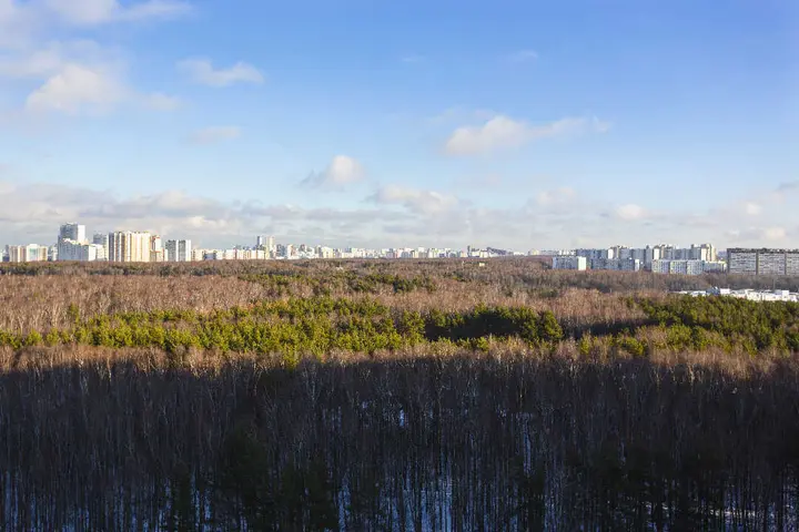 Москва: Уютная  3х комнатная квартира у аэропорта Внуково