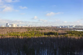 Москва: Уютная 3х комнатная квартира у аэропорта Внуково