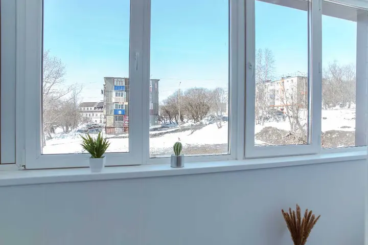Петропавловск-Камчатский: Квартира SAS 1-к "Дыхание земли"