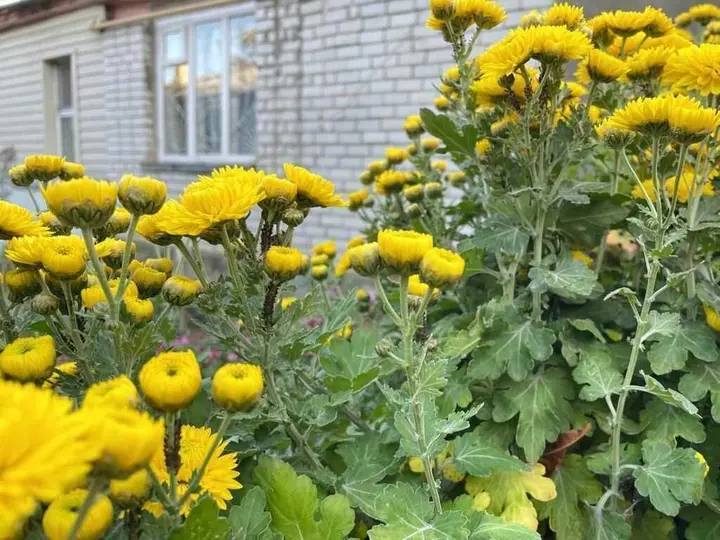 Ессентуки: Квартира в центре города около парка
