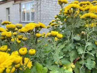 Ессентуки: Квартира в центре города около парка