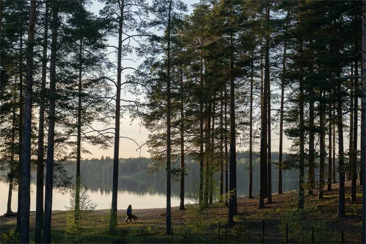 Ильичево: ВерескОтель