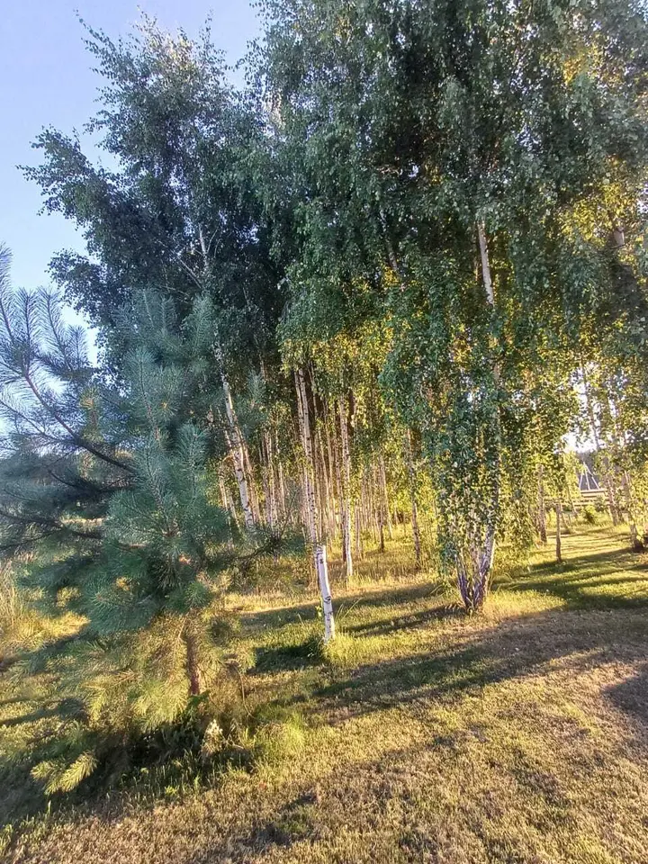 Рязань: Уютный