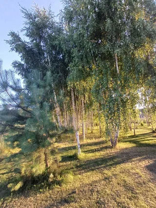 Рязань: Уютный