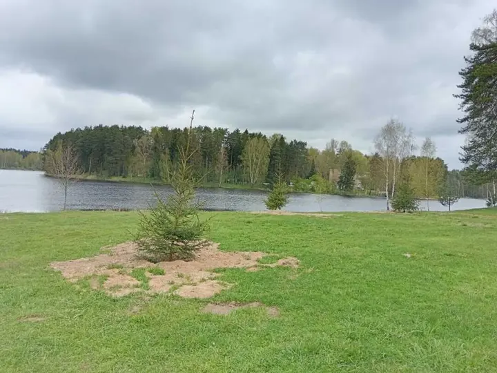 Ногинск: Дом с баней и купелью. Отдых в Подмосковье