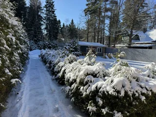Всеволожск: Дом на Фонвизина