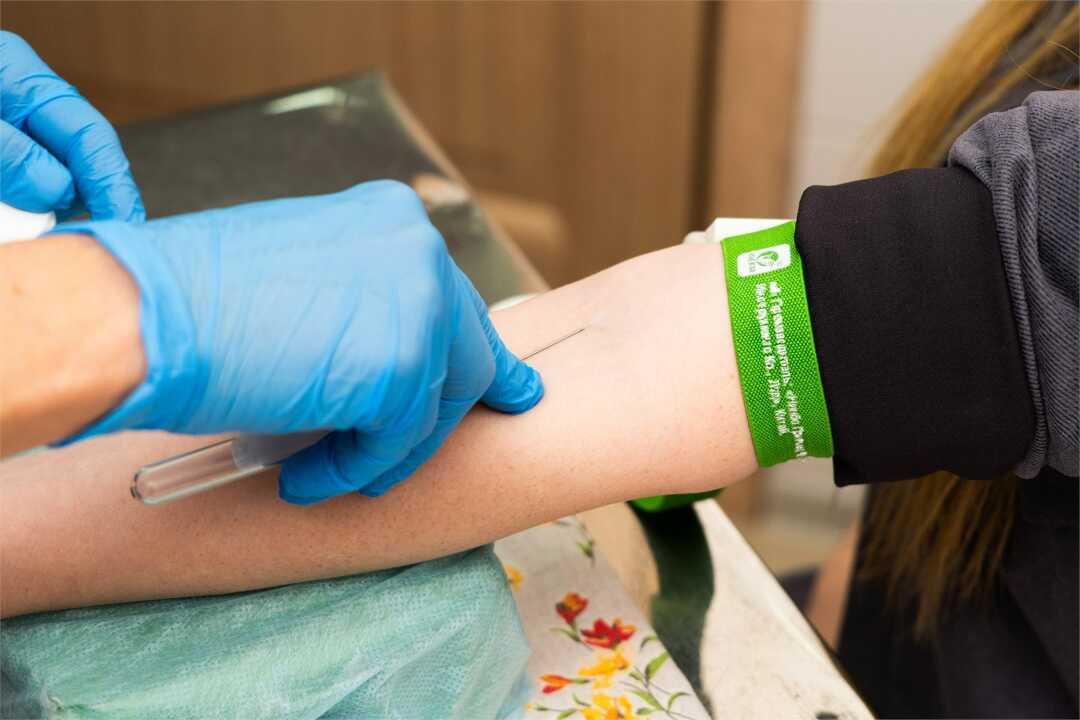 Белокуриха: Долина Алтая