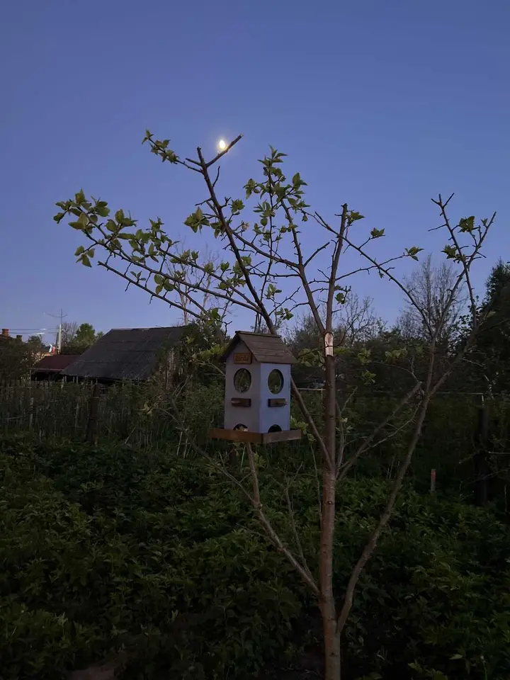 Переславль-Залесский: Загородный дом "Гагарин House"