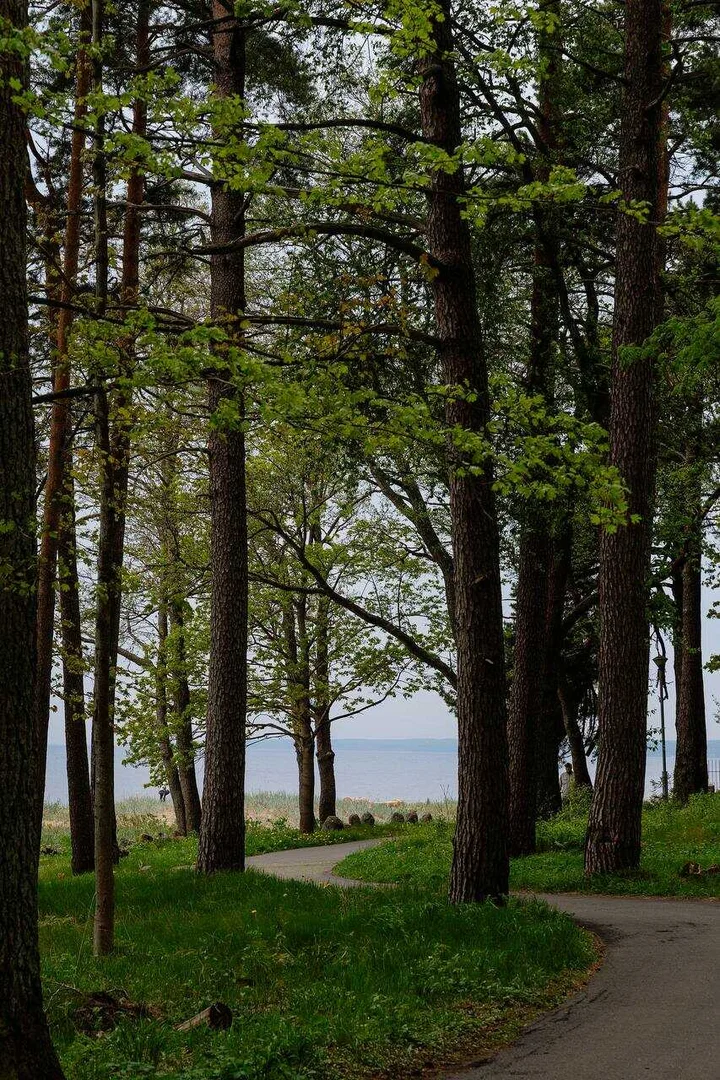 Зеленогорск: Ривьера апарт