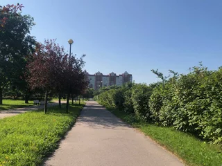 Санкт-Петербург: Студия у парка для 1