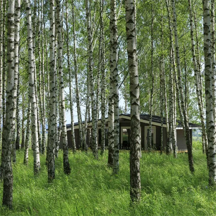 Окаемово: Norke Есенинская Русь