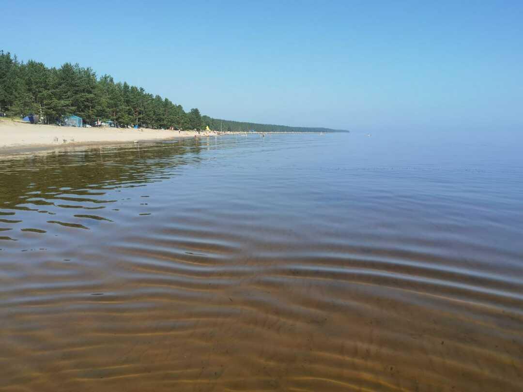 Приозерск: Домик в Снетково