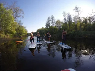 Сокольники: Замок Романовски