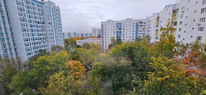 Москва: Комфортная квартира в Строгино