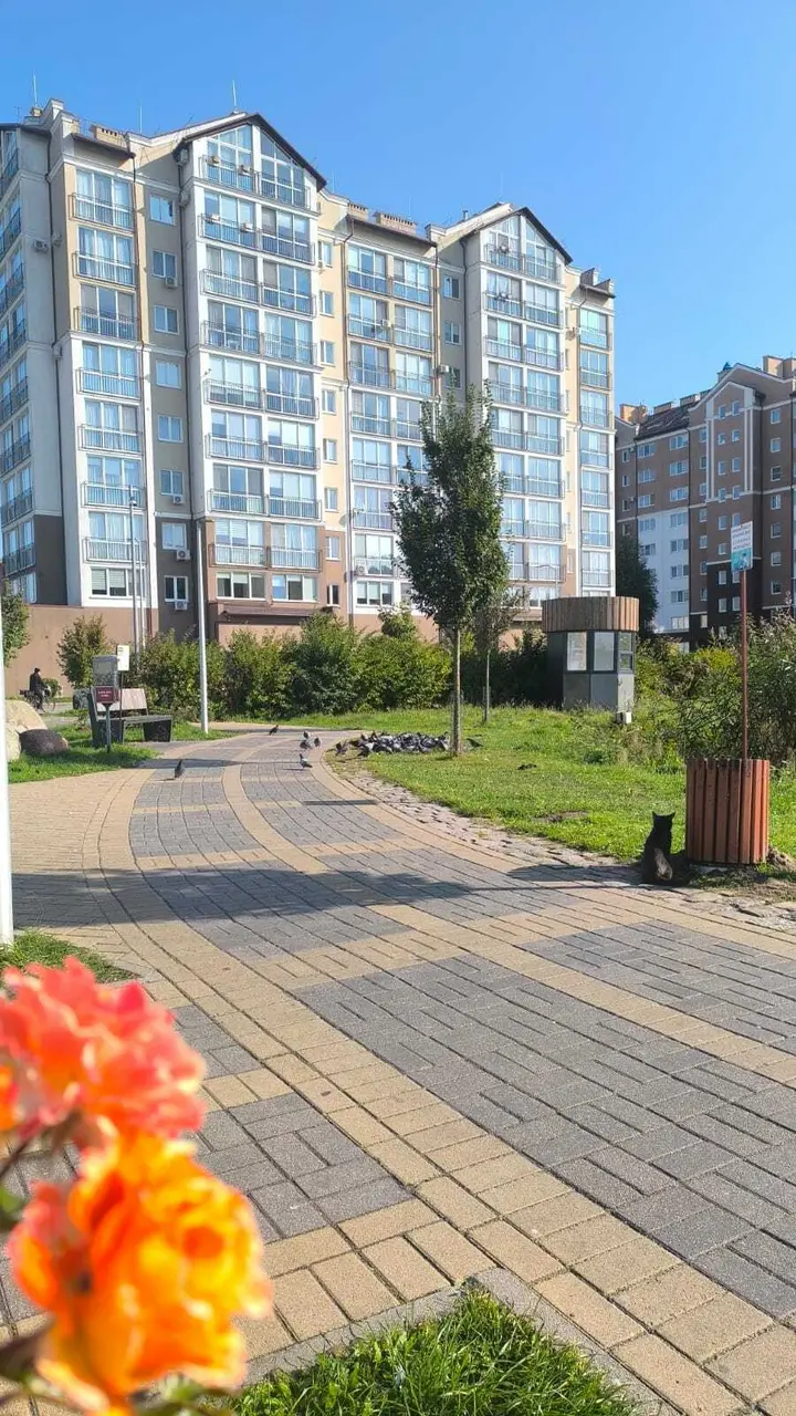 Зеленоградск: Апартаменты Балтийский стиль