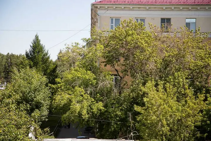 Омск: Отель "Золотой лев"