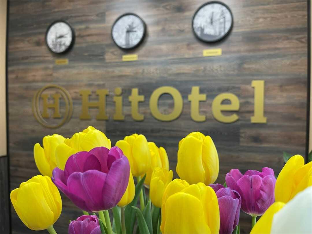 Волгоград: Отель "Hitotel"