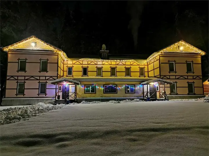 Городец: Спутник