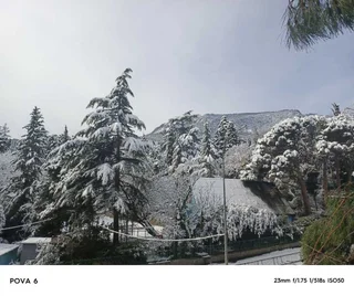 Ялта: Гостевой дом "Марина"