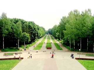 Смоленск: Комфортный Оазис