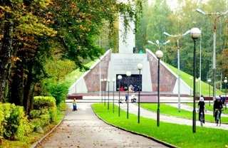 Смоленск: Комфортный Оазис