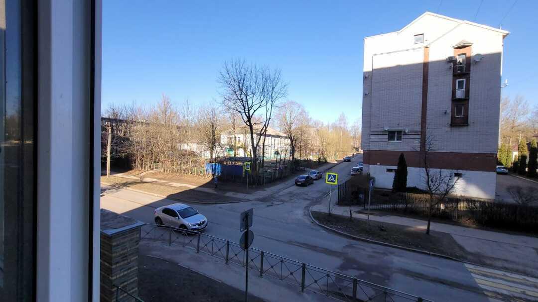 Смоленск: Застенчивая Ива у Пруда