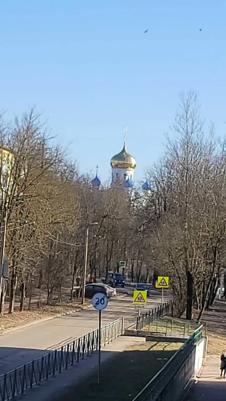 Смоленск: Застенчивая Ива у Пруда