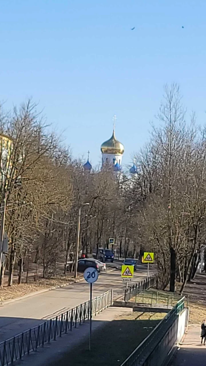 Смоленск: Застенчивая Ива у Пруда