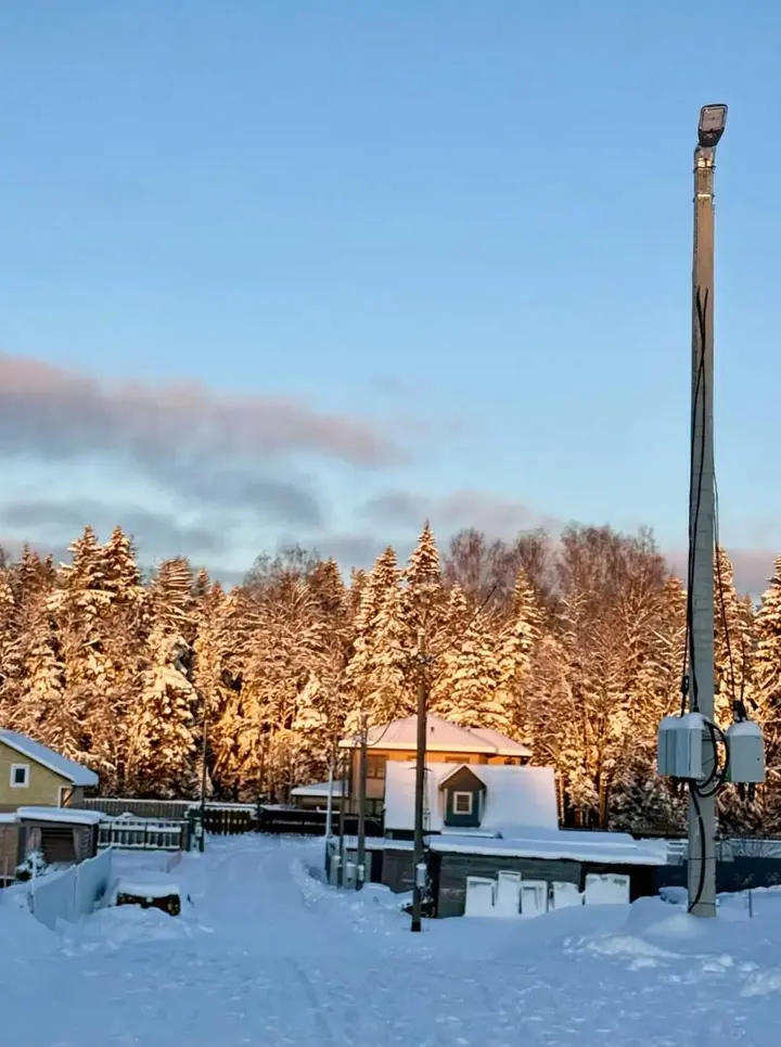 Лопухинское: Загородный дом "Домик в Сказке"